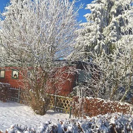 Bungalow Holiday home *